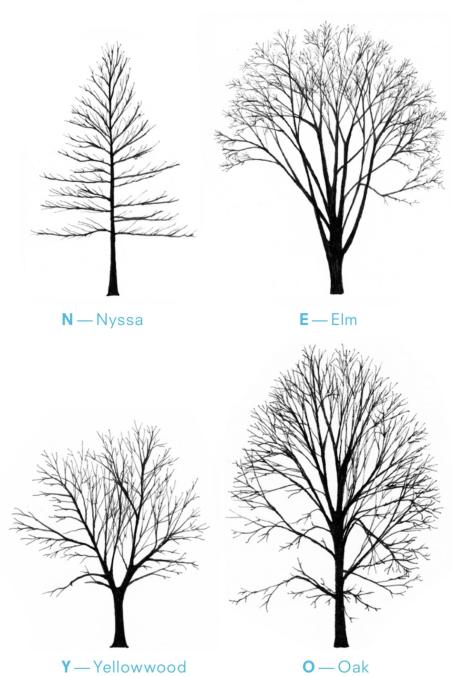 TreeAlphabet2-1500x0-c-default